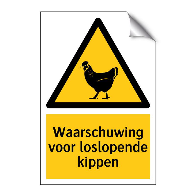 Waarschuwing voor loslopende kippen