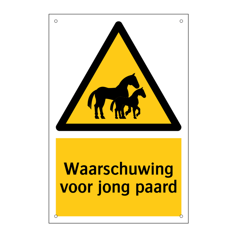 Waarschuwing voor jong paard