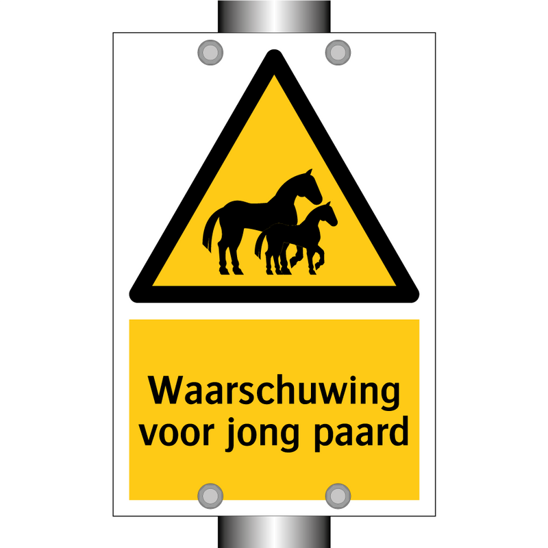 Waarschuwing voor jong paard