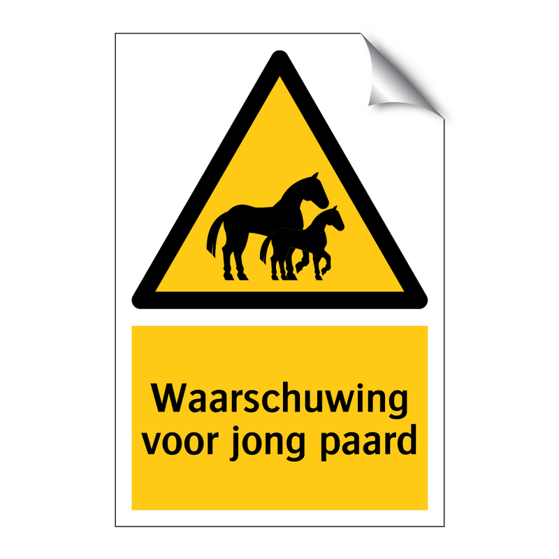 Waarschuwing voor jong paard