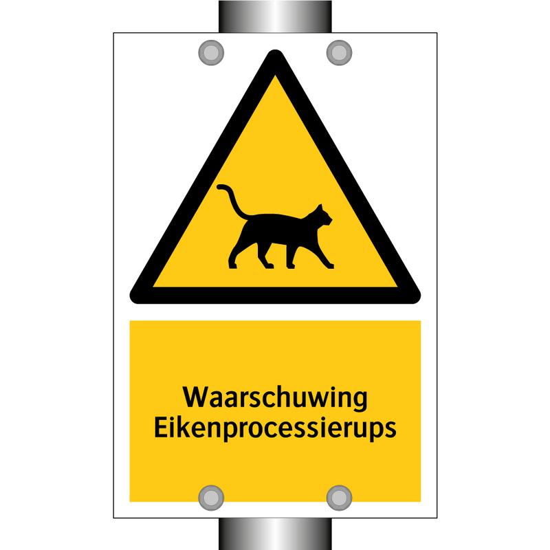 Waarschuwing Eikenprocessierups