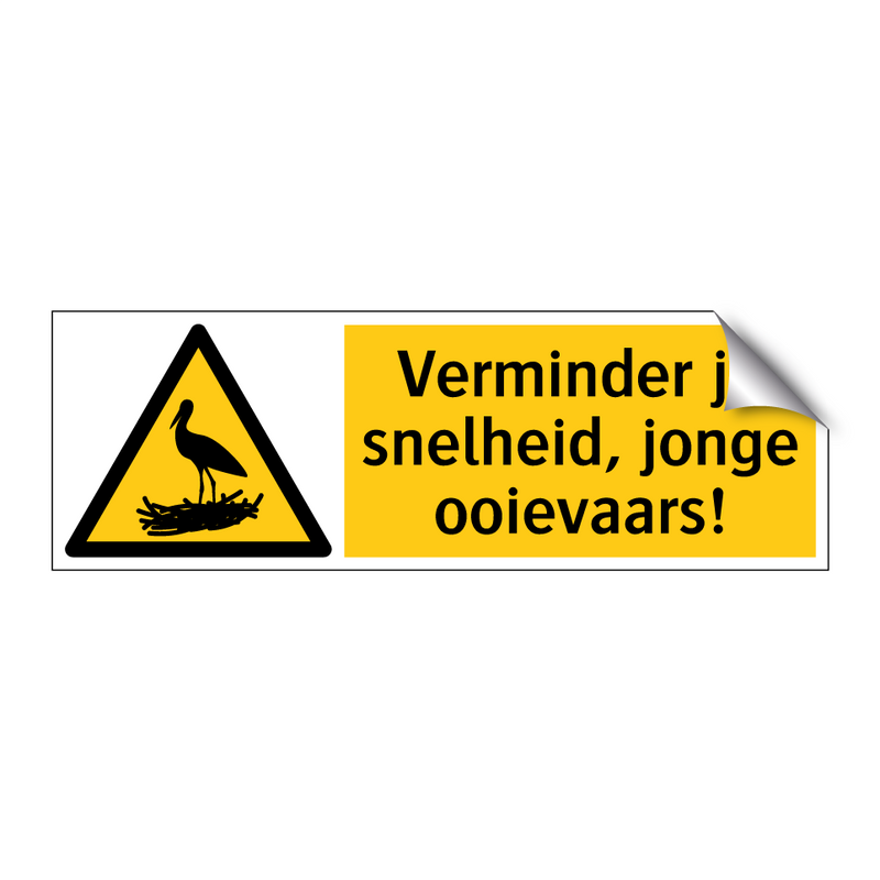 Verminder je snelheid, jonge ooievaars!