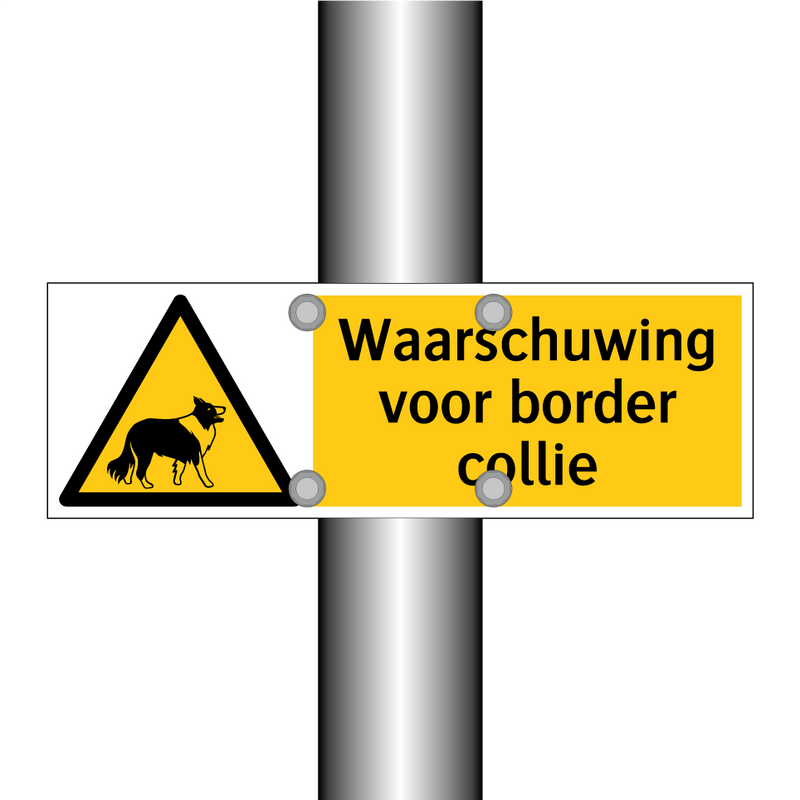 Waarschuwing voor border collie