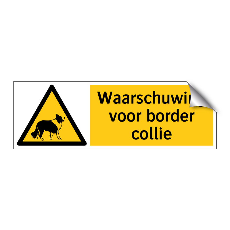 Waarschuwing voor border collie